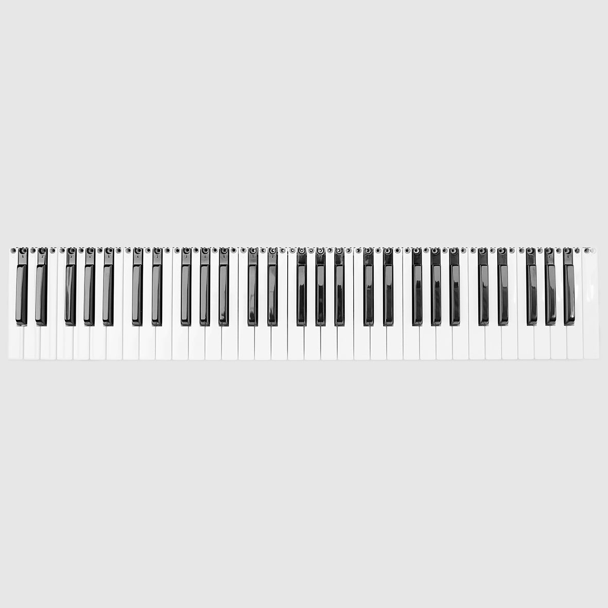 Fatar TP/9S Keyboard