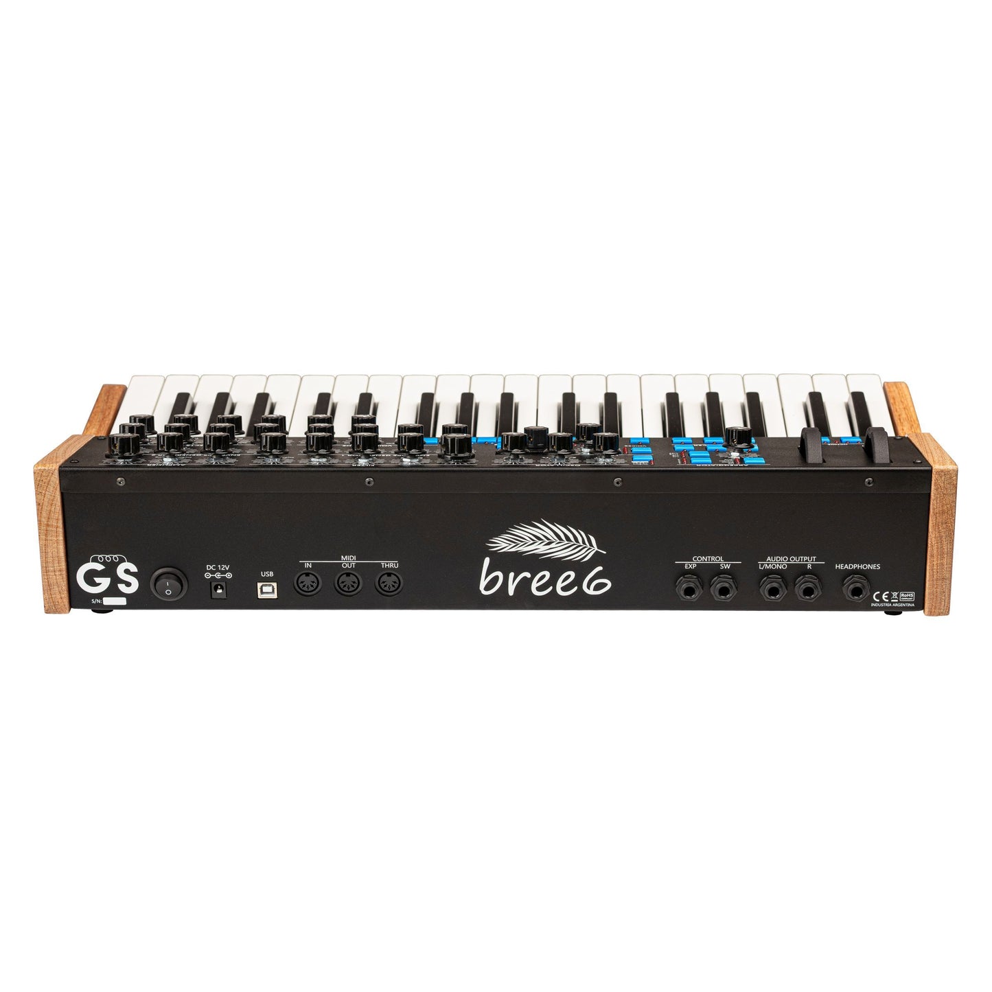 GS Music Bree6 Keyboard Analog Polyphonic Synthesizer (Black)